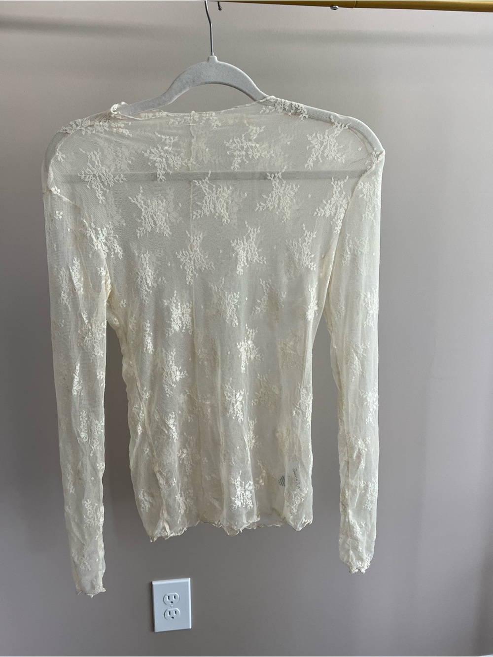 Dex Sewn & Seen Sheer Floral Lace Long Sleeve Top in Ivory